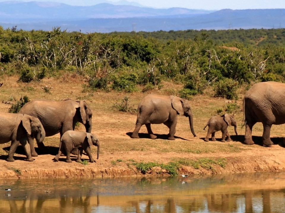 South Africa – “Big Five” Package